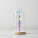 Rosa Love Led - Rosa Encantada na Cúpula de Vidro