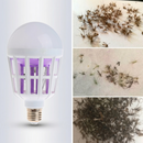 Lâmpada de choque elétrico para mosquito.